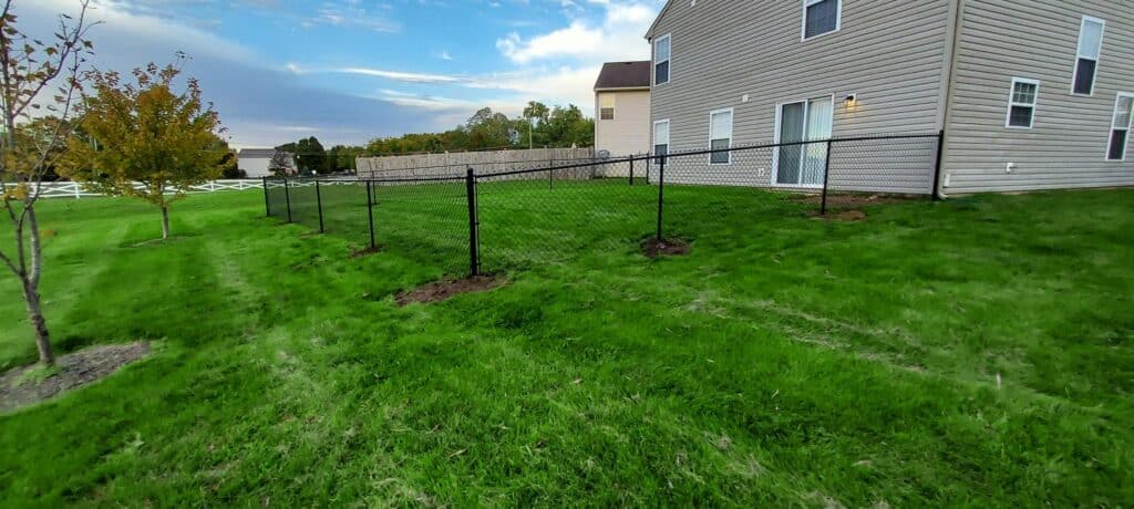 chain wire fence services in Indianapolis